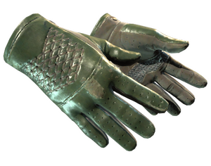 ★ Driver Gloves | Racing Green (Well-Worn)