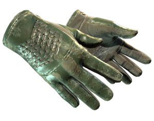 ★ Driver Gloves | Racing Green (Battle-Scarred)