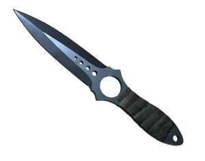 ★ Skeleton Knife | Blue Steel (Well-Worn)