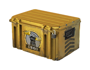 Glove Case
