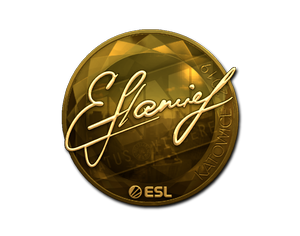 flamie (Gold) | Katowice 2019