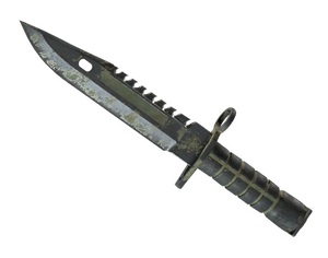 ★ M9 Bayonet | Safari Mesh (Battle-Scarred)