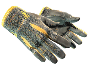 ★ Sport Gloves | Omega (Well-Worn)