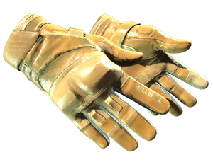 ★ Moto Gloves | Transport (Field-Tested)