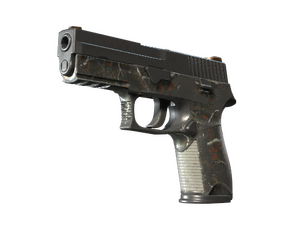 P250 | Small Game