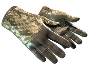 ★ Driver Gloves | Diamondback (Factory New)