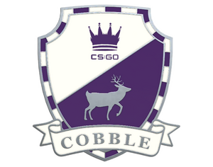 Cobblestone Pin