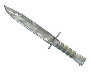 ★ Bayonet | Urban Masked (Well-Worn)