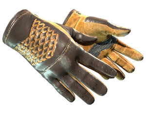 ★ Driver Gloves | Overtake (Field-Tested)