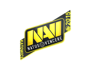 Natus Vincere | Katowice 2015