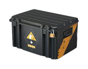 CS:GO Weapon Case