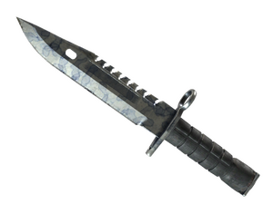 ★ StatTrak™ M9 Bayonet | Stained (Field-Tested)