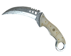 ★ StatTrak™ Talon Knife | Damascus Steel (Minimal Wear)