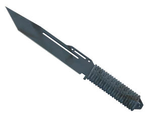 ★ Paracord Knife | Night Stripe (Factory New)