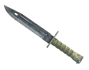 ★ Bayonet | Stained (Factory New)