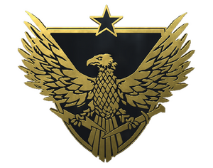 Brigadier General Pin