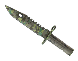 ★ M9 Bayonet | Boreal Forest (Well-Worn)