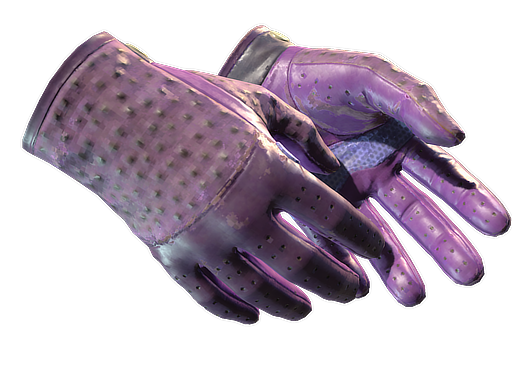 ★ Driver Gloves | Plum Quill (Field-Tested)