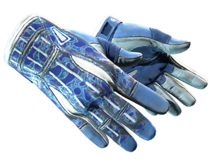 ★ Sport Gloves | Amphibious (Field-Tested)