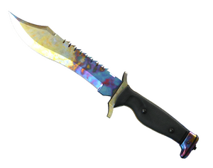 ★ Bowie Knife | Case Hardened (Well-Worn)