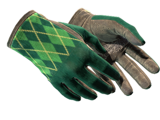 ★ Driver Gloves | Hand Sweaters (Well-Worn)