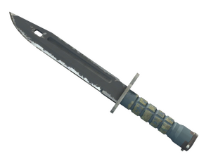 ★ StatTrak™ Bayonet | Night (Field-Tested)
