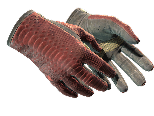 ★ Driver Gloves | Dragon Fists (Well-Worn)