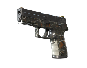 P250 | Small Game