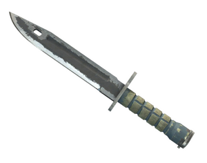 ★ Bayonet | Night (Battle-Scarred)