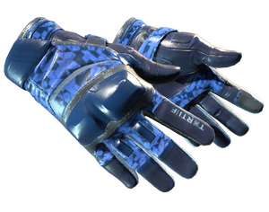 ★ Moto Gloves | Polygon (Minimal Wear)