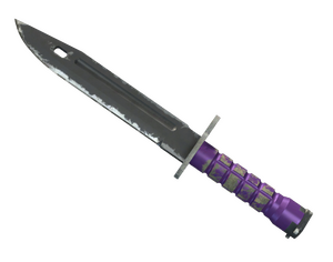 ★ StatTrak™ Bayonet | Ultraviolet (Field-Tested)