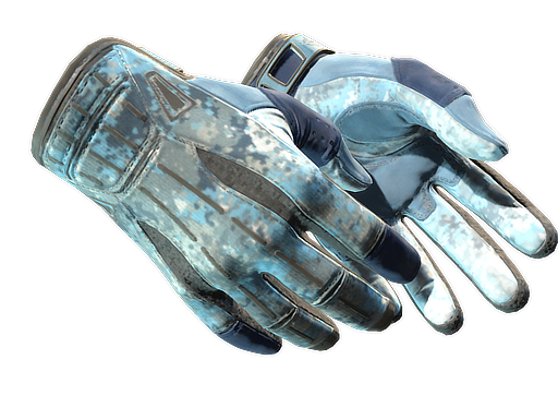 ★ Sport Gloves | Frosty (Minimal Wear)