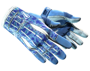 ★ Sport Gloves | Amphibious