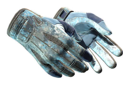 ★ Sport Gloves | Frosty (Well-Worn)