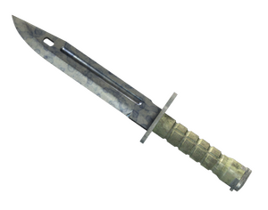★ StatTrak™ Bayonet | Stained (Field-Tested)